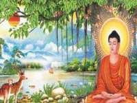 沭阳县阳之耀电子商务有限公司