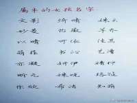 沭阳县阳之耀电子商务有限公司