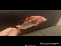 沭阳县阳之耀电子商务有限公司